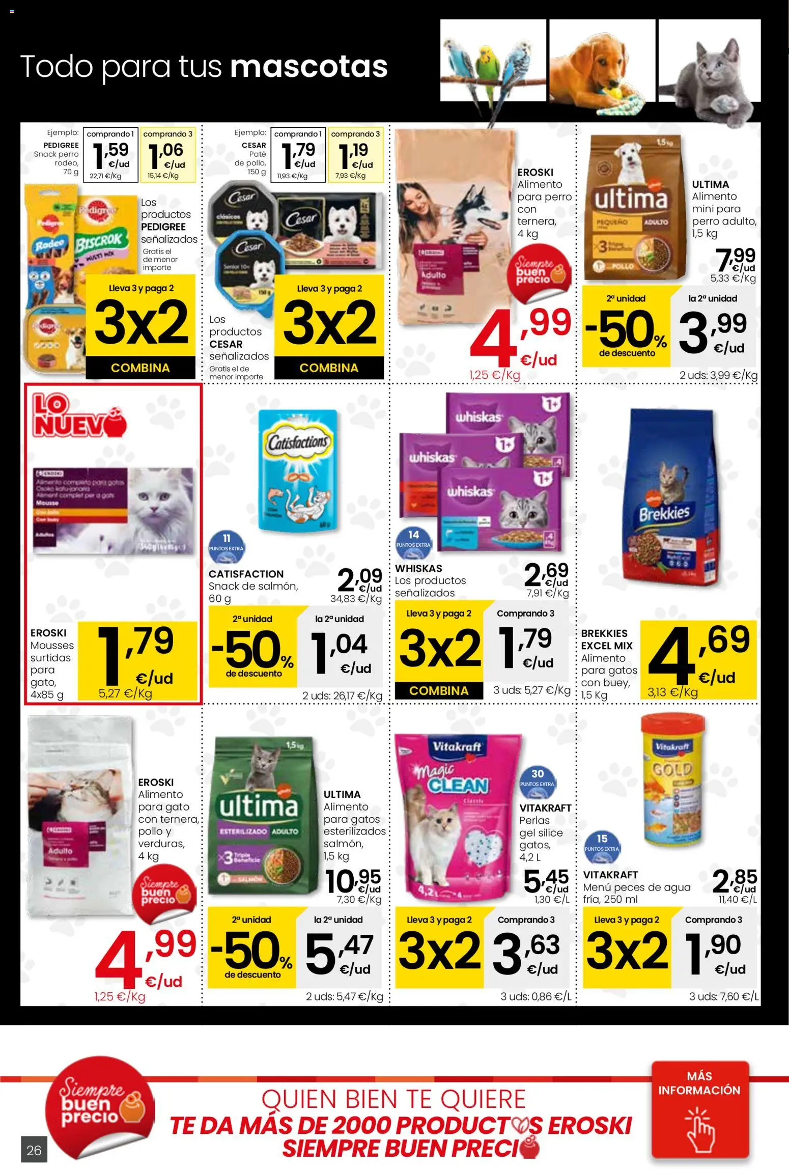 Eroski - Viste tu cesta de primavera Center │ válido desde el 12.03.2026 | Página: 26 | Productos: Paté, Té