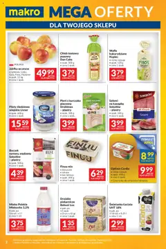 Makro Gazetka - Mega oferty dla Twojego Sklepu od 16.09.2025 | Strona: 2
