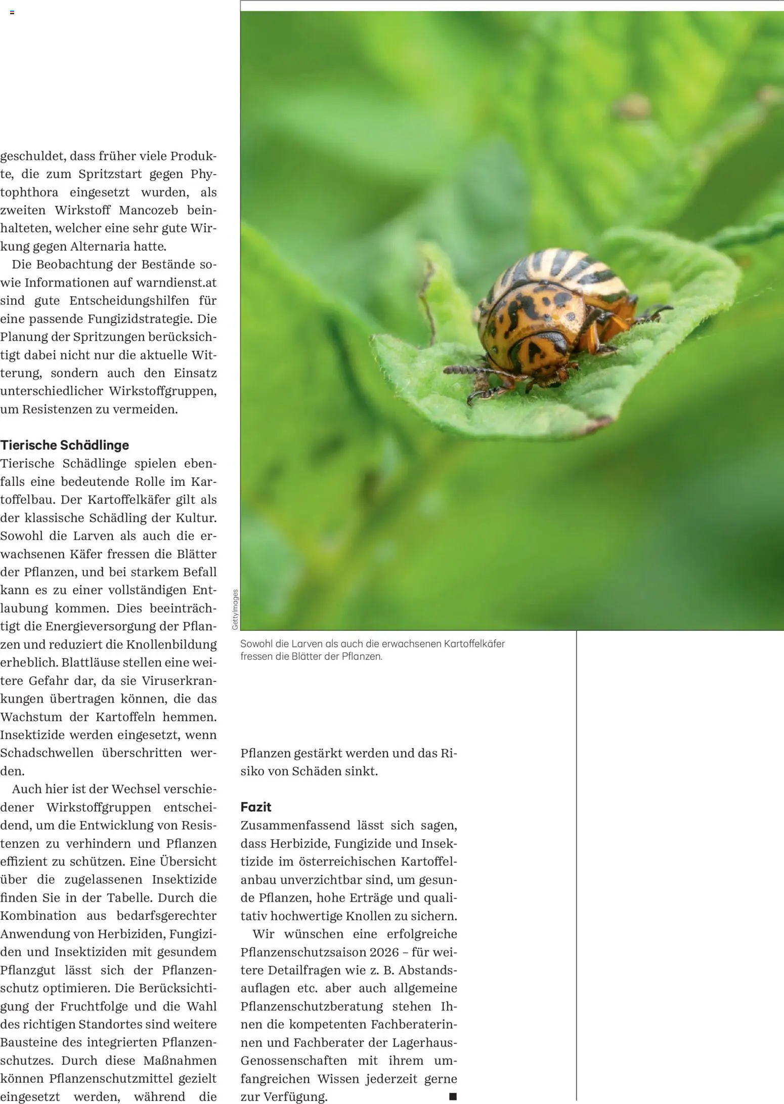 Lagerhaus Unser Land Mai 2025 gültig ab 01.05.2026 | Seite: 38 | Produkte: Kartoffeln