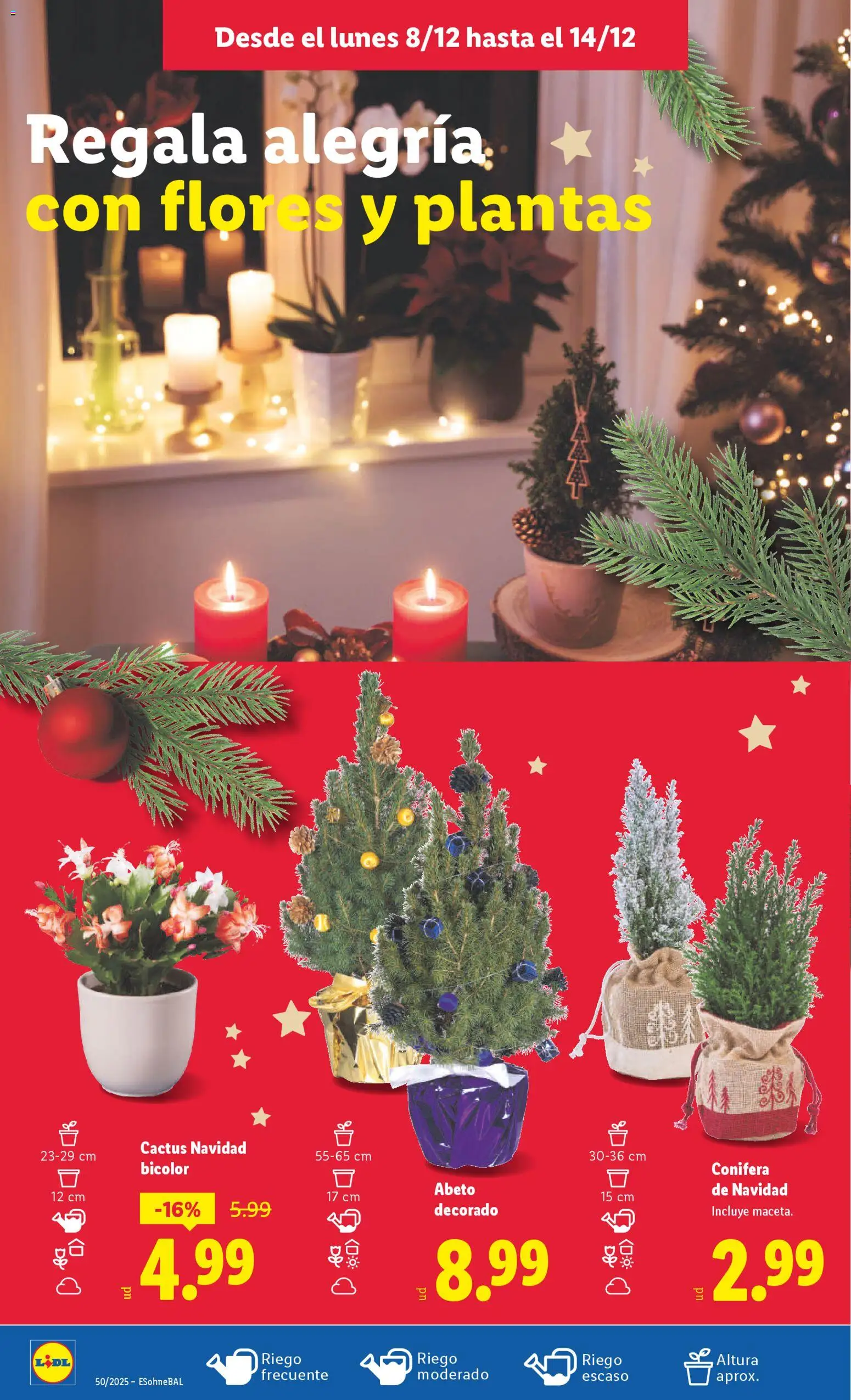 Lidl folleto │ válido desde el 08.12.2025 | Página: 52