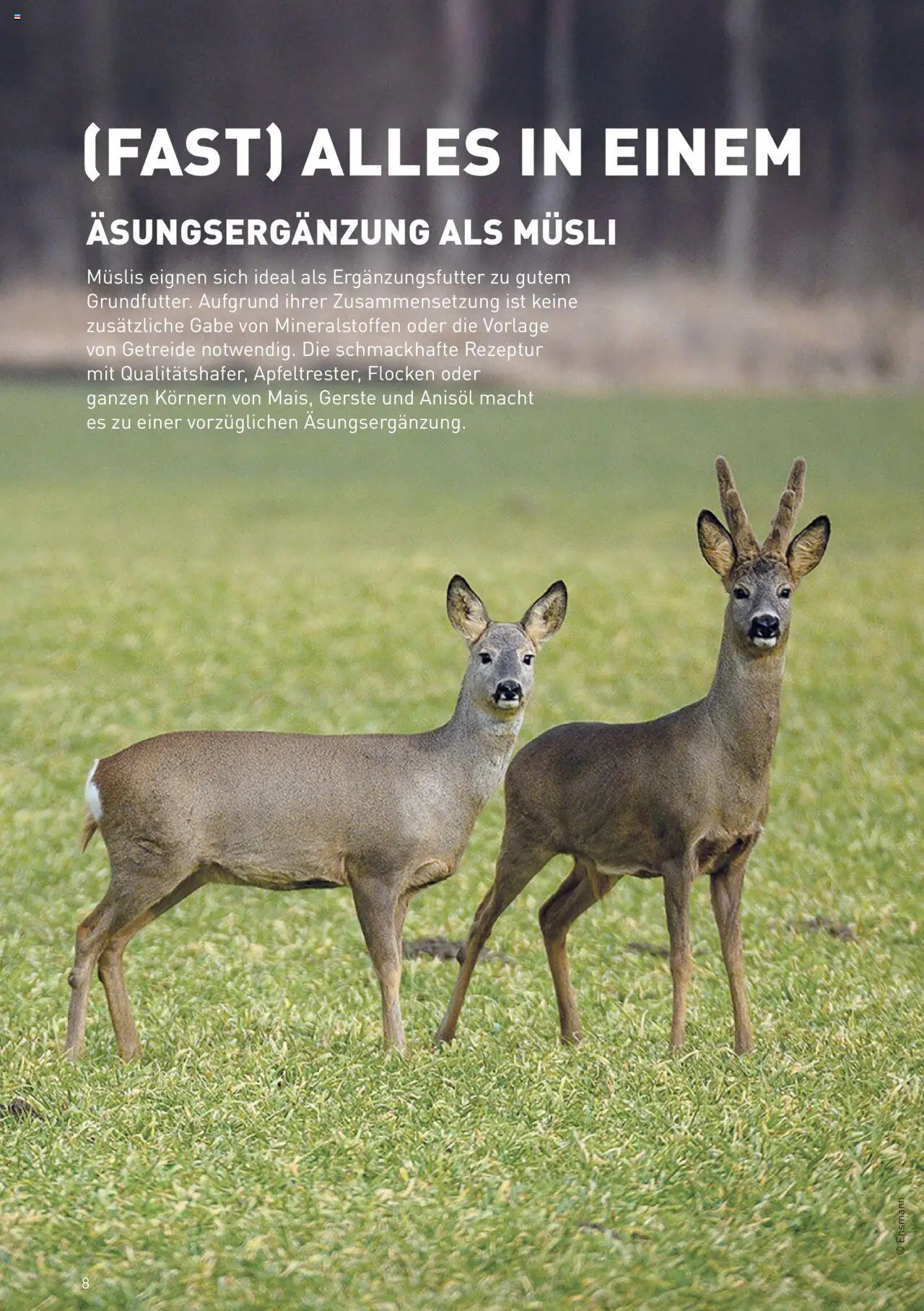 Lagerhaus TROPHY  WILDFUTTER gültig ab 25.07.2025 | Seite: 8 | Produkte: Getreide, Flocken