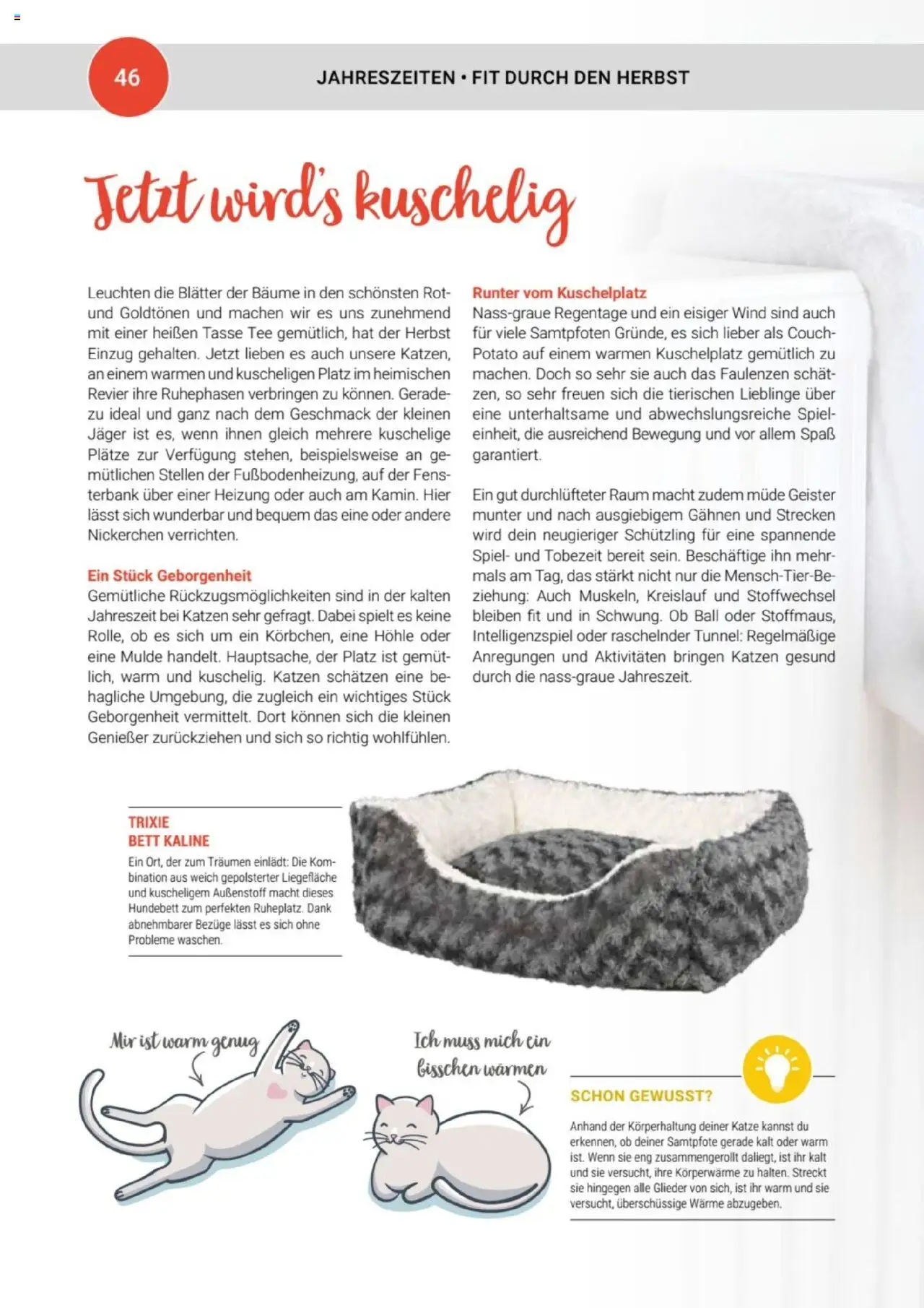 zookauf Themenkatalog Katze – gültig ab 01.10.2025 | Seite: 46 | Produkte: Spiel, Bett, Couch, Tee