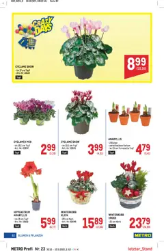 Metro angebote Profi ab 30.10.2025 gültig | Seite: 62