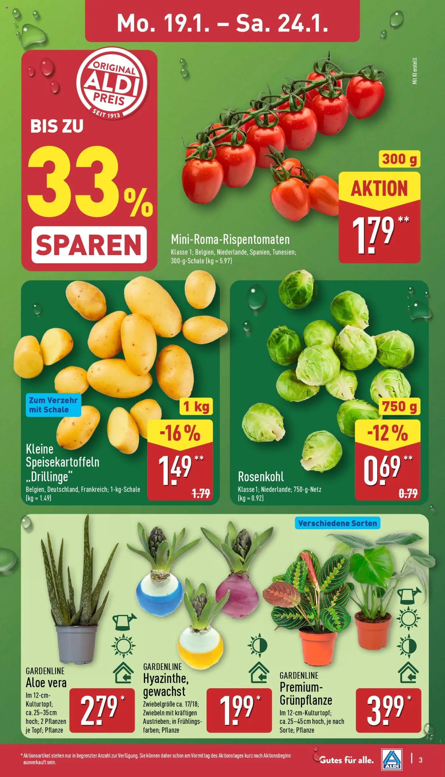 Aldi Prospekt 	 – gültig ab 19.01.2026 | Seite: 3 | Produkte: Zwiebeln