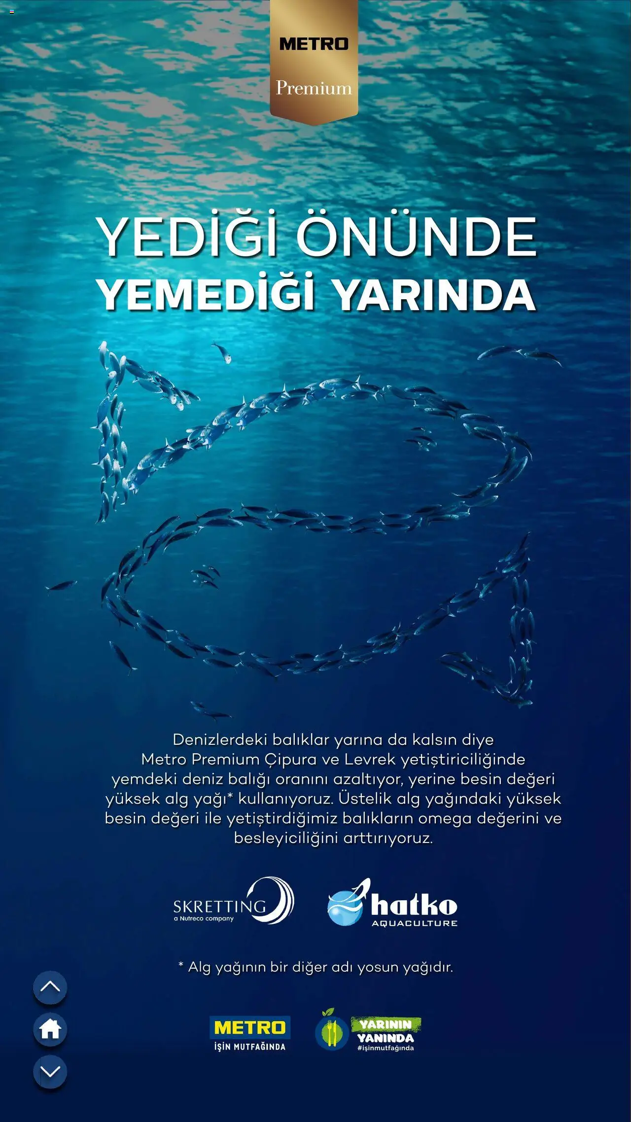 Metro Sürdürülebilir Ürünler Kataloğu - 23.09.2025 tarihinden itibaren geçerlidir | Sayfa: 28 | Ürünler: Levrek, Çipura