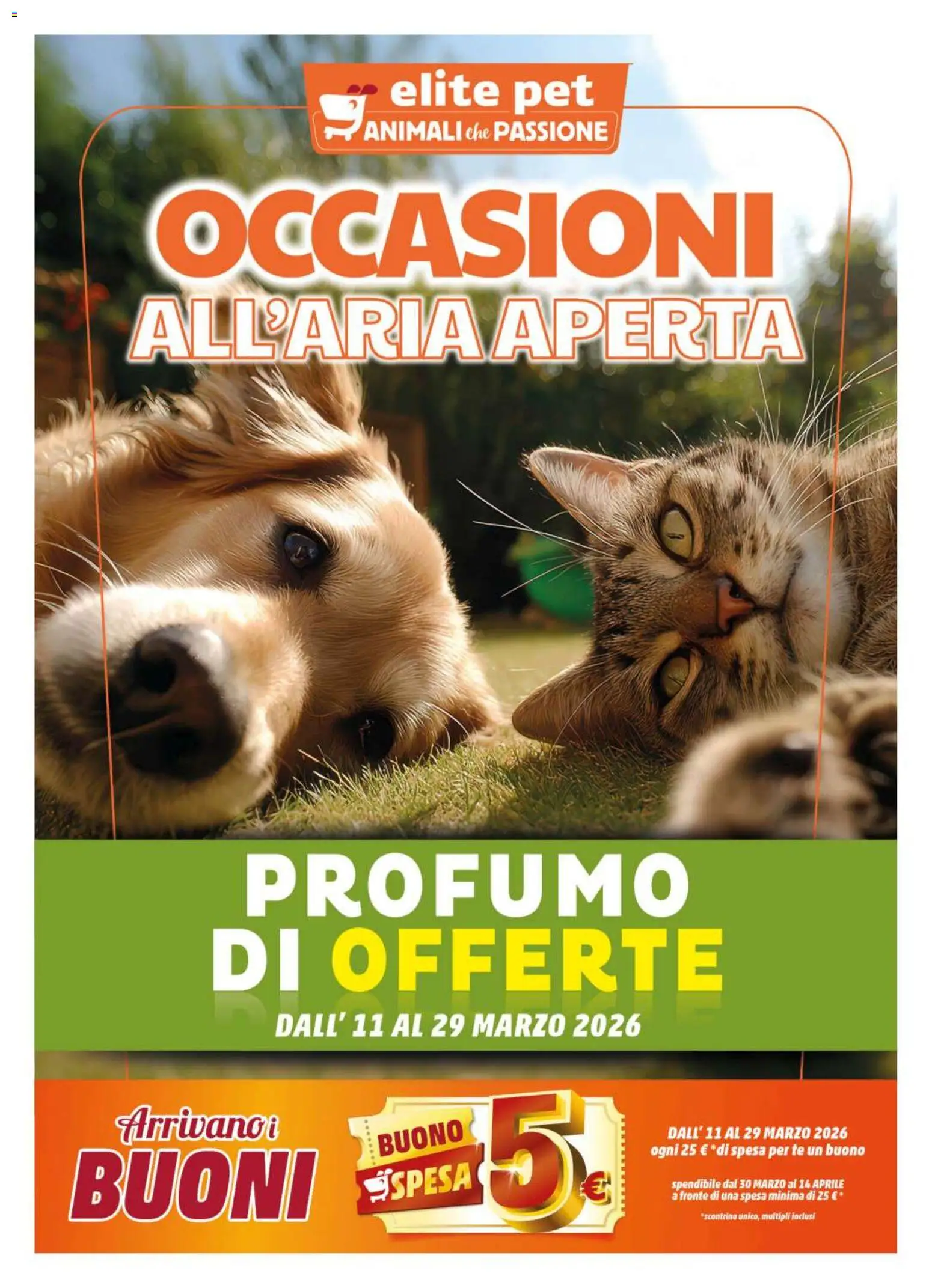 Volantino Elite Supermercati del 11.03.2026 | Pagina: 1 | Prodotti: Tè, Profumo