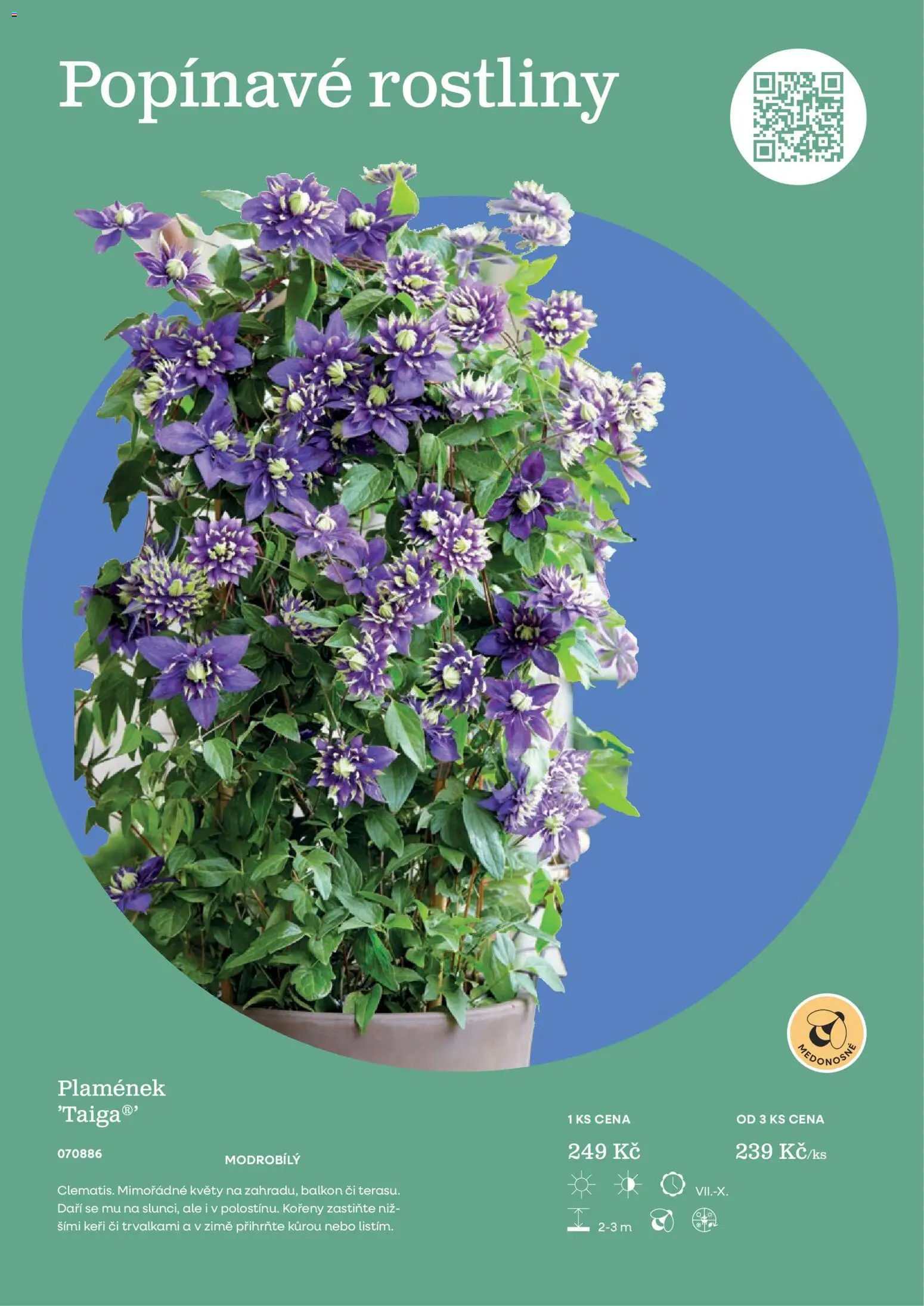 Starkl katalog od 25.02.2026 | Strana: 21 | Produkty: Rostliny