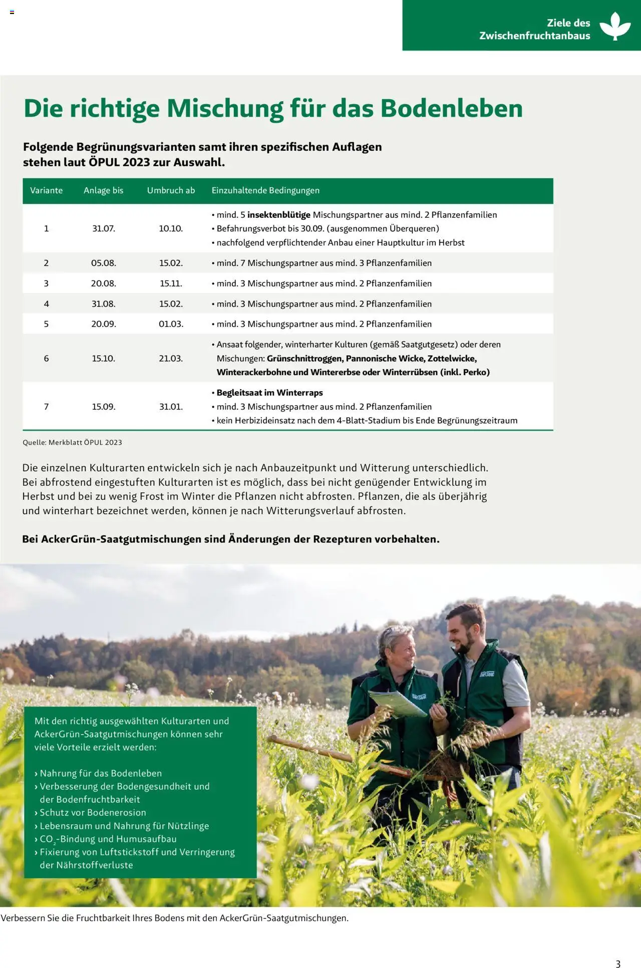 Lagerhaus Fachblatt Zwischenfrüchte & Begrünungen gültig ab 27.03.2025 | Seite: 3