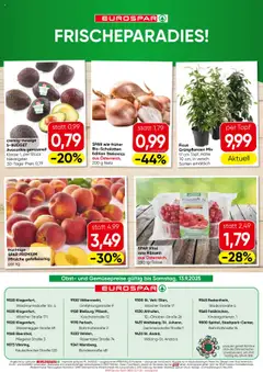 Eurospar Flugblatt gültig ab 11.09.2025 | Seite: 16 | Produkte: Obst