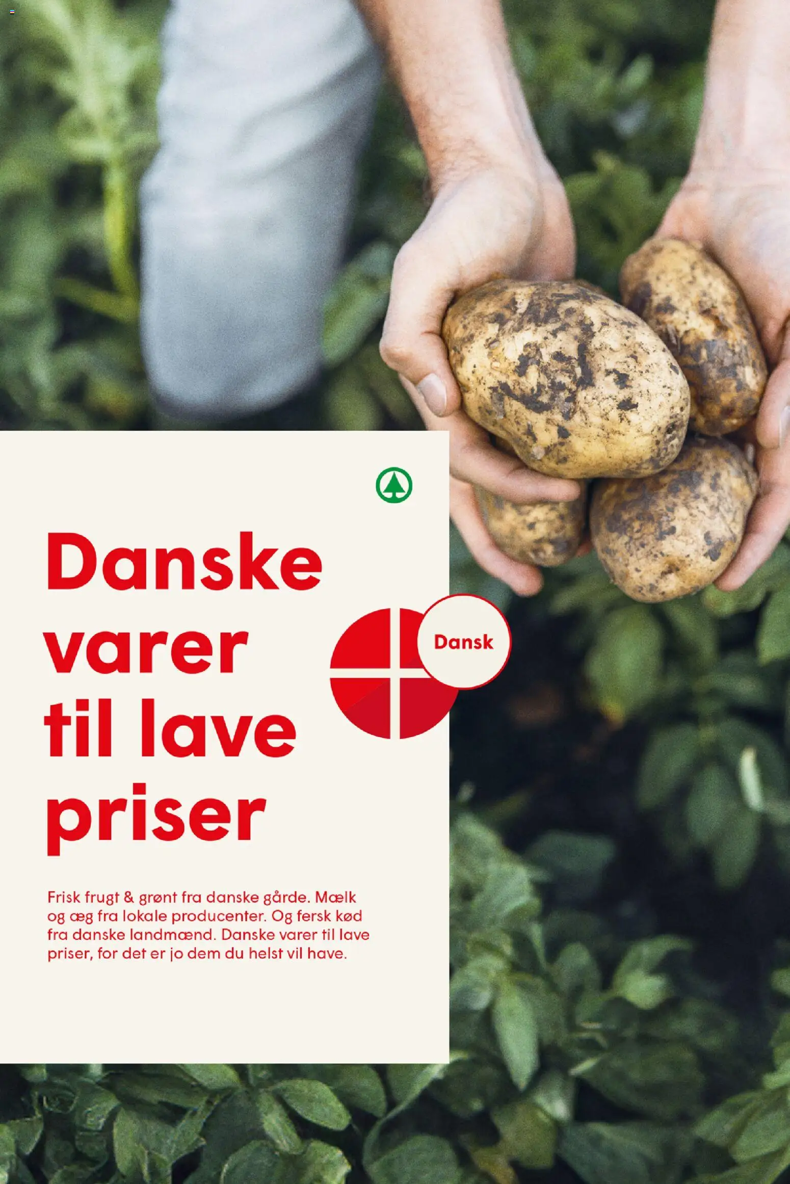 Spar tilbudsavis – gyldig fra 01.05.2026 | Side: 27 | Produkter: Mælk, Æg