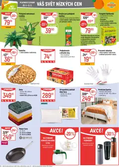 Náhled letáku Globus leták - Trmice od 21.01.2026 | Strana: 28 | Produkty: Pánev, Deka, Polštář, Pokojové rostliny