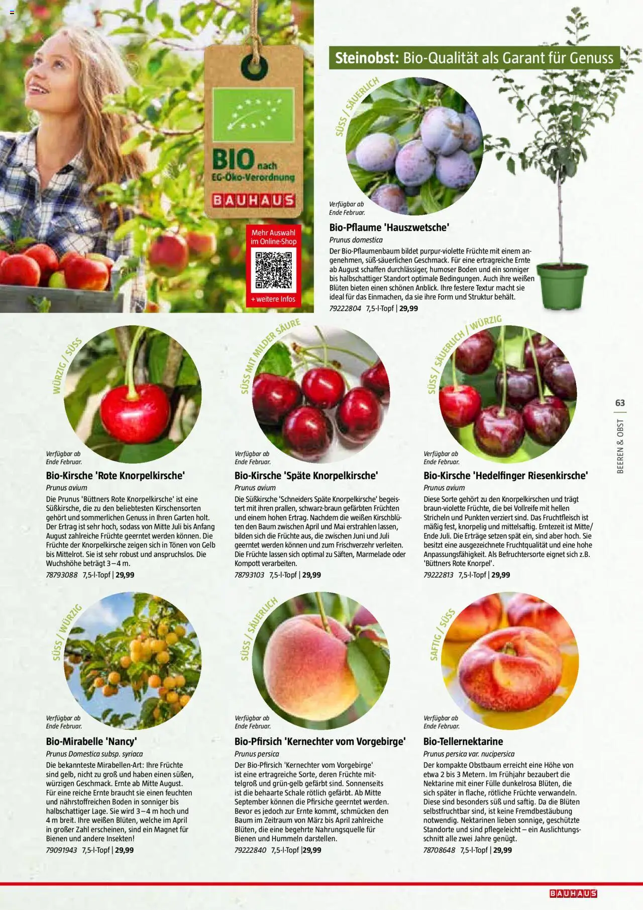 Bauhaus Reiche Ernte Magazin 2025 gültig ab 01.07.2025 | Seite: 63 | Produkte: Obst, Nektarine