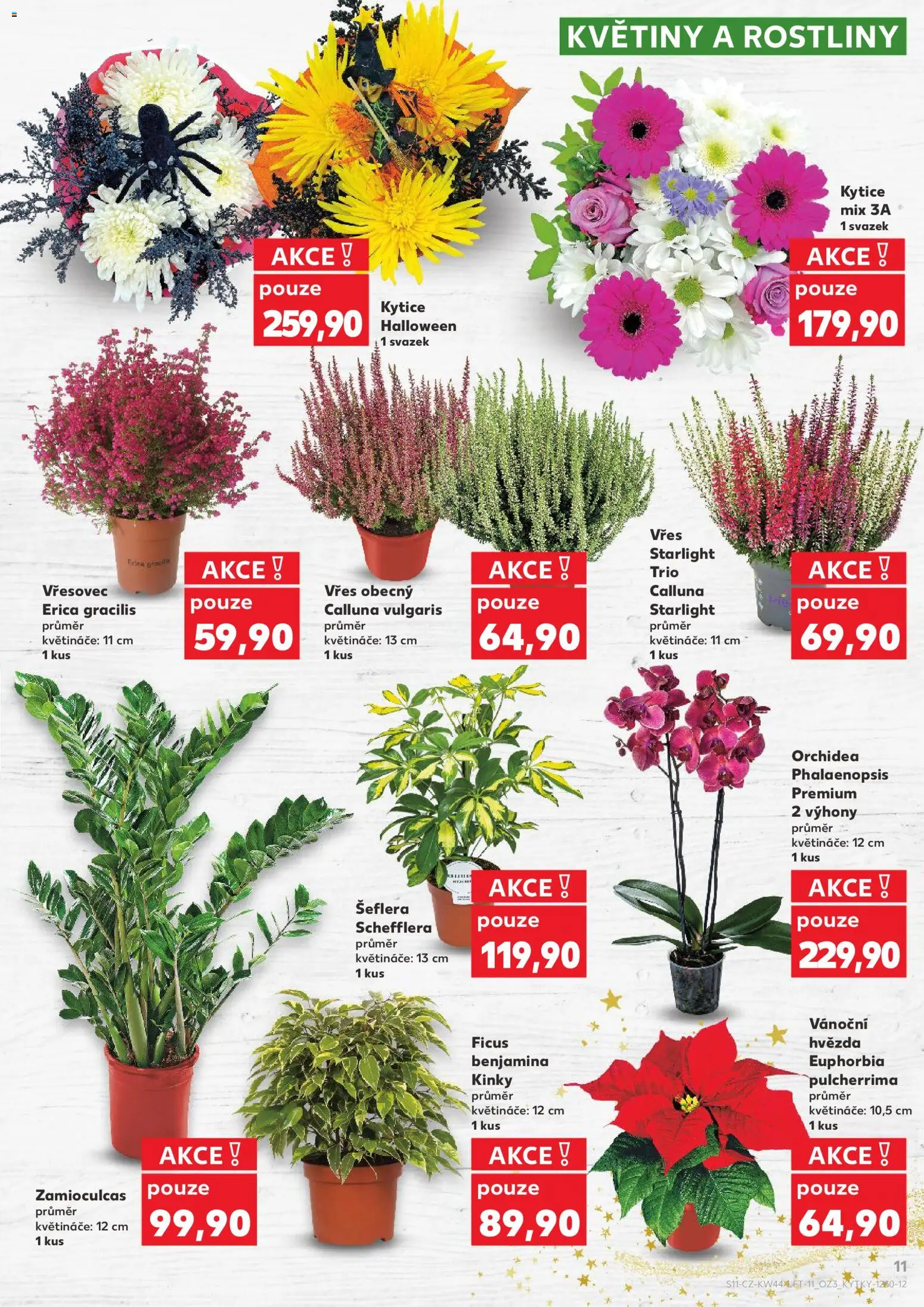 Kaufland leták - Kolín od 29.10.2025 | Strana: 11 | Produkty: Vřes, Květináče, Rostliny, Kytice