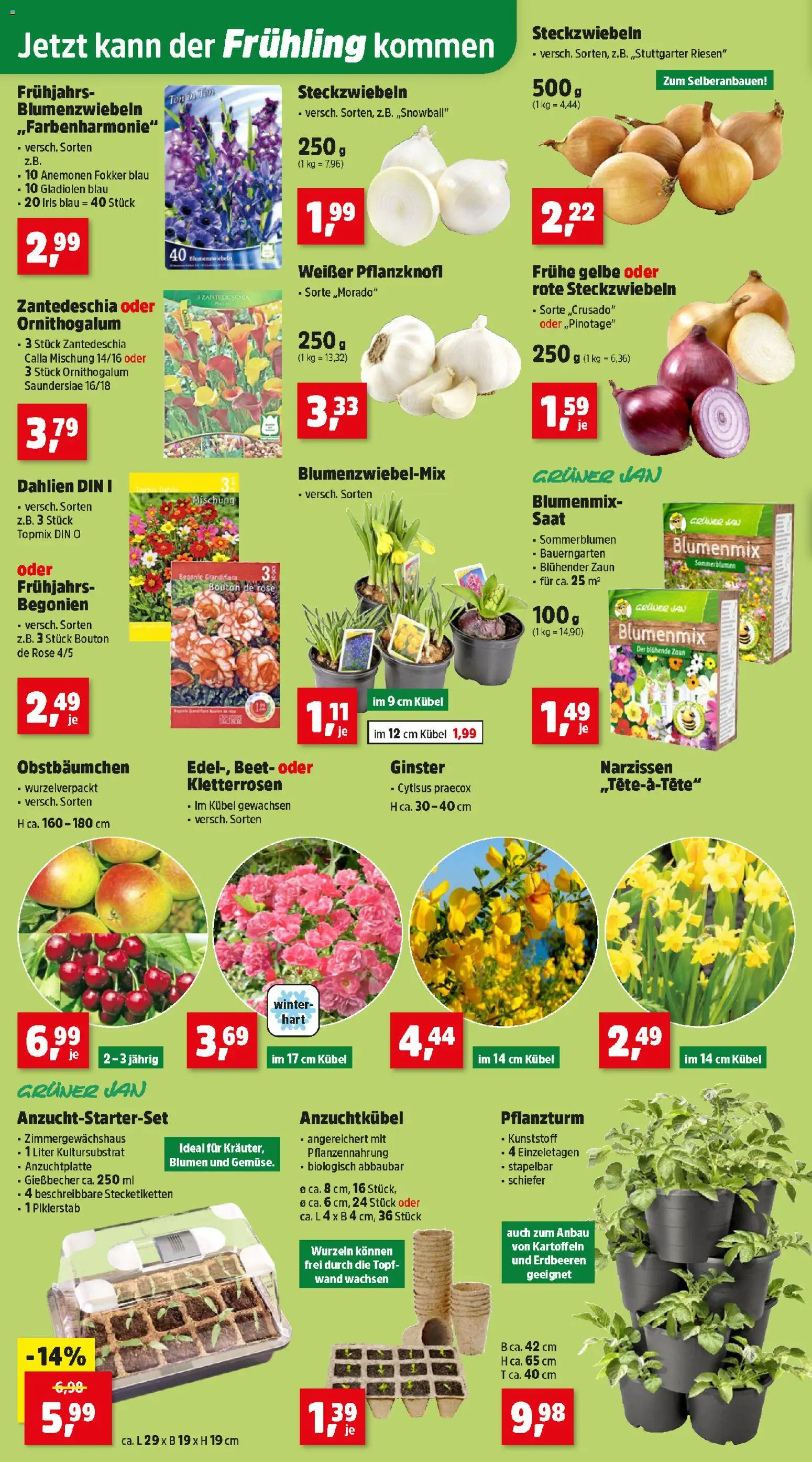 Thomas Philipps Flugblatt gültig ab 16.02.2026 | Seite: 2 | Produkte: Erdbeeren, Kartoffeln