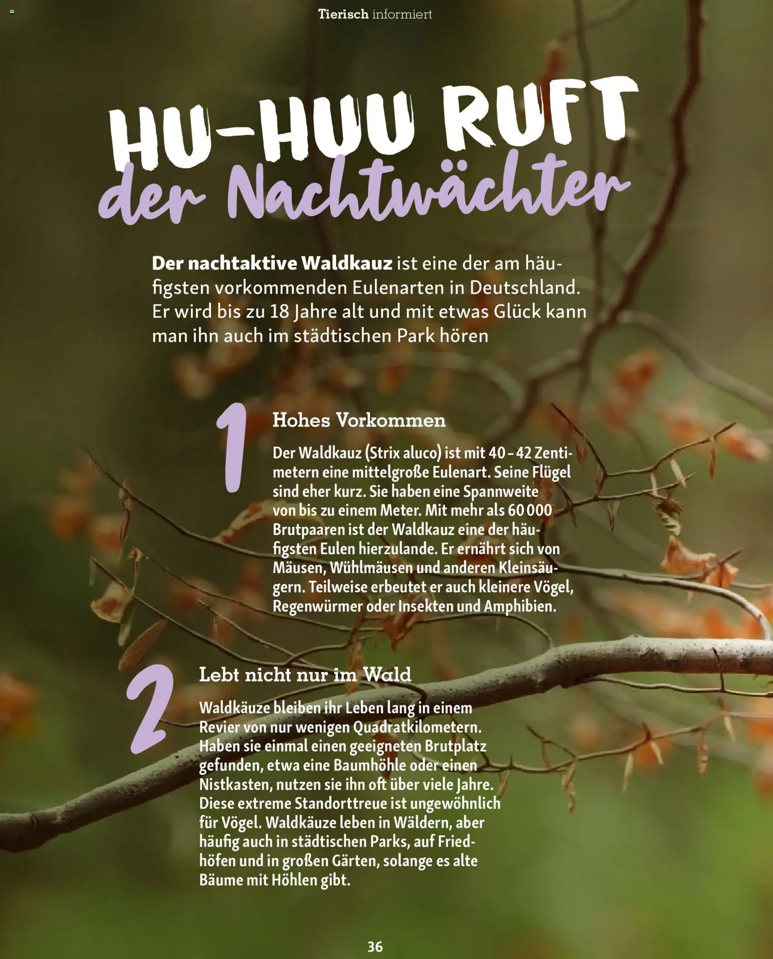 Fressnapf Magazin – gültig ab 01.11.2025 | Seite: 36