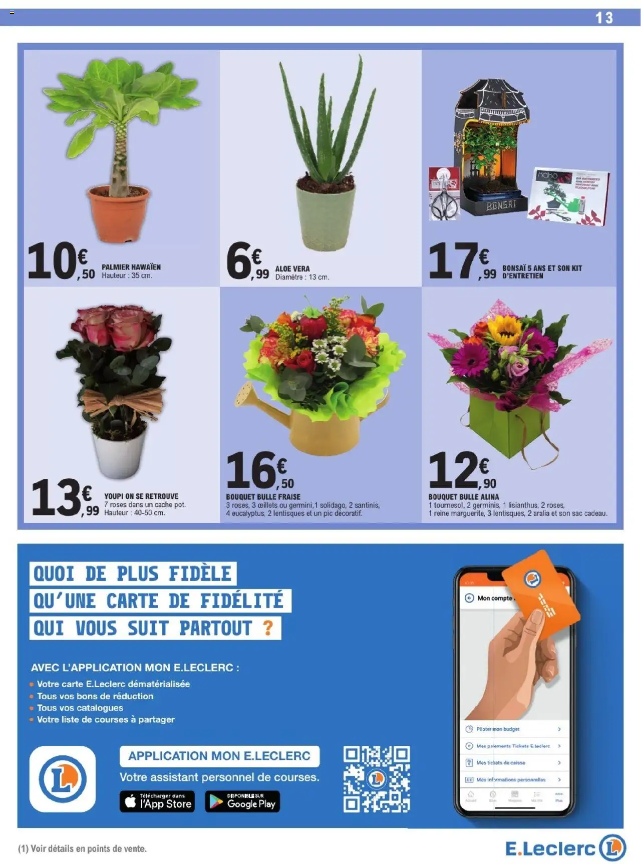  | Page: 13 | Produits: Bonsai, Fraise, Store, Palmier