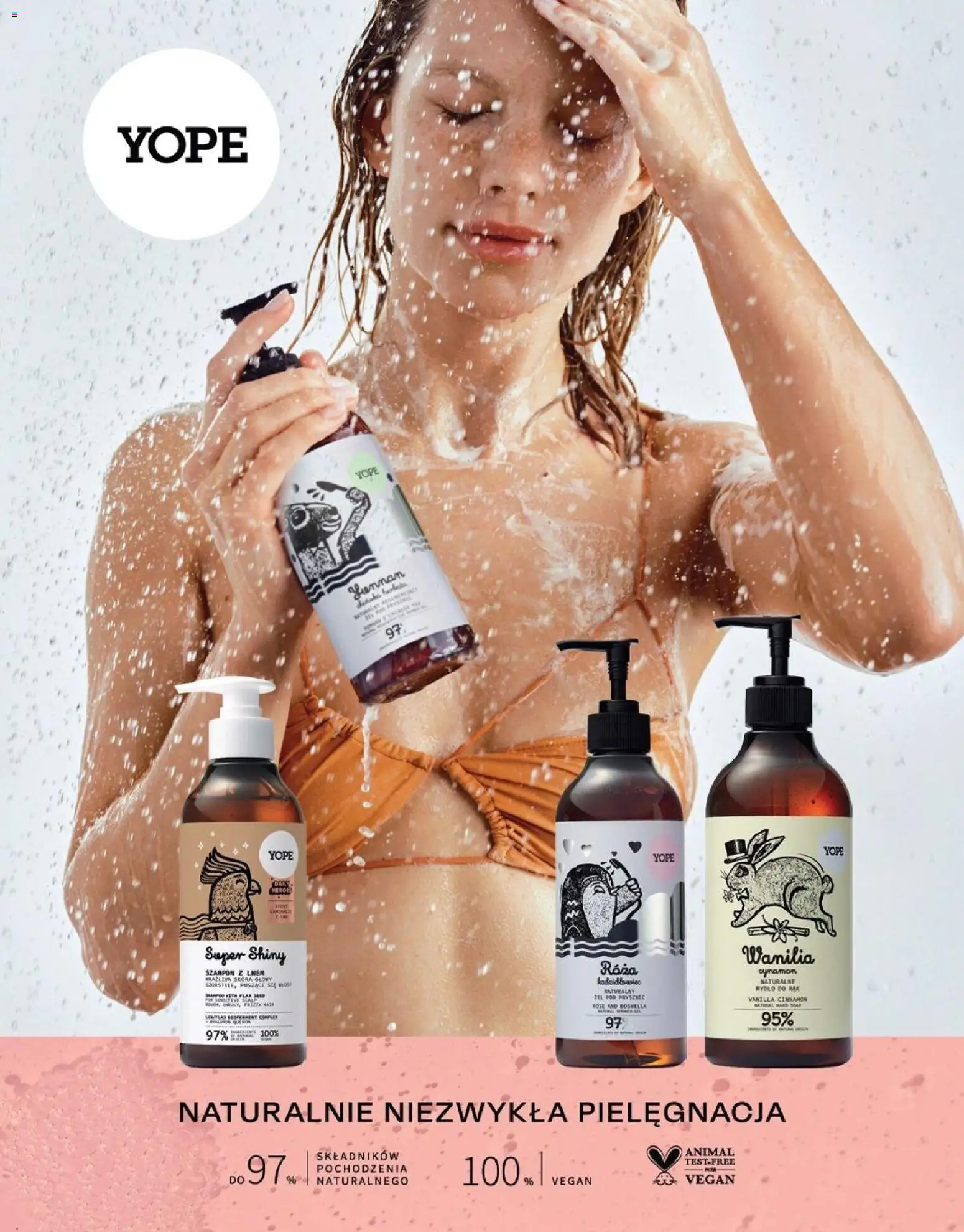 Hebe gazetka - Magazyn od 01.03.2026 | Strona: 143 | Produkty: Cynamon, Szampon, Herbata, Żel pod prysznic