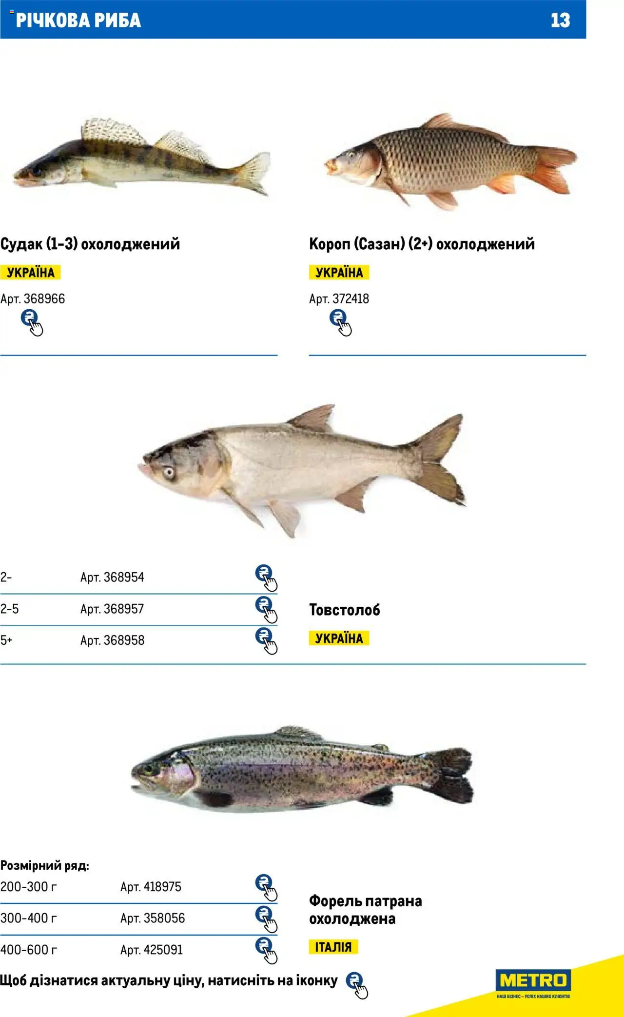 Metro Kаталог - дійснийкції з 13.06.2024 | Сторінка: 13 | Товари: Риба, Форель