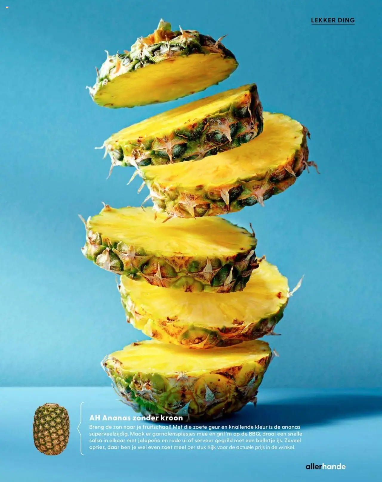  | Pagina: 9 | Producten: Ui, Ananas, Jalapeno, Geur