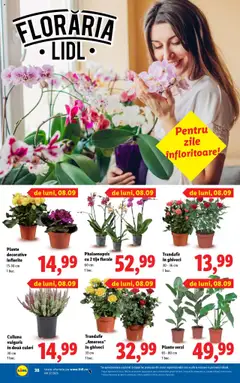 Noul catalog Lidl – valabil de la 08.09.2025 | Pagină: 38
