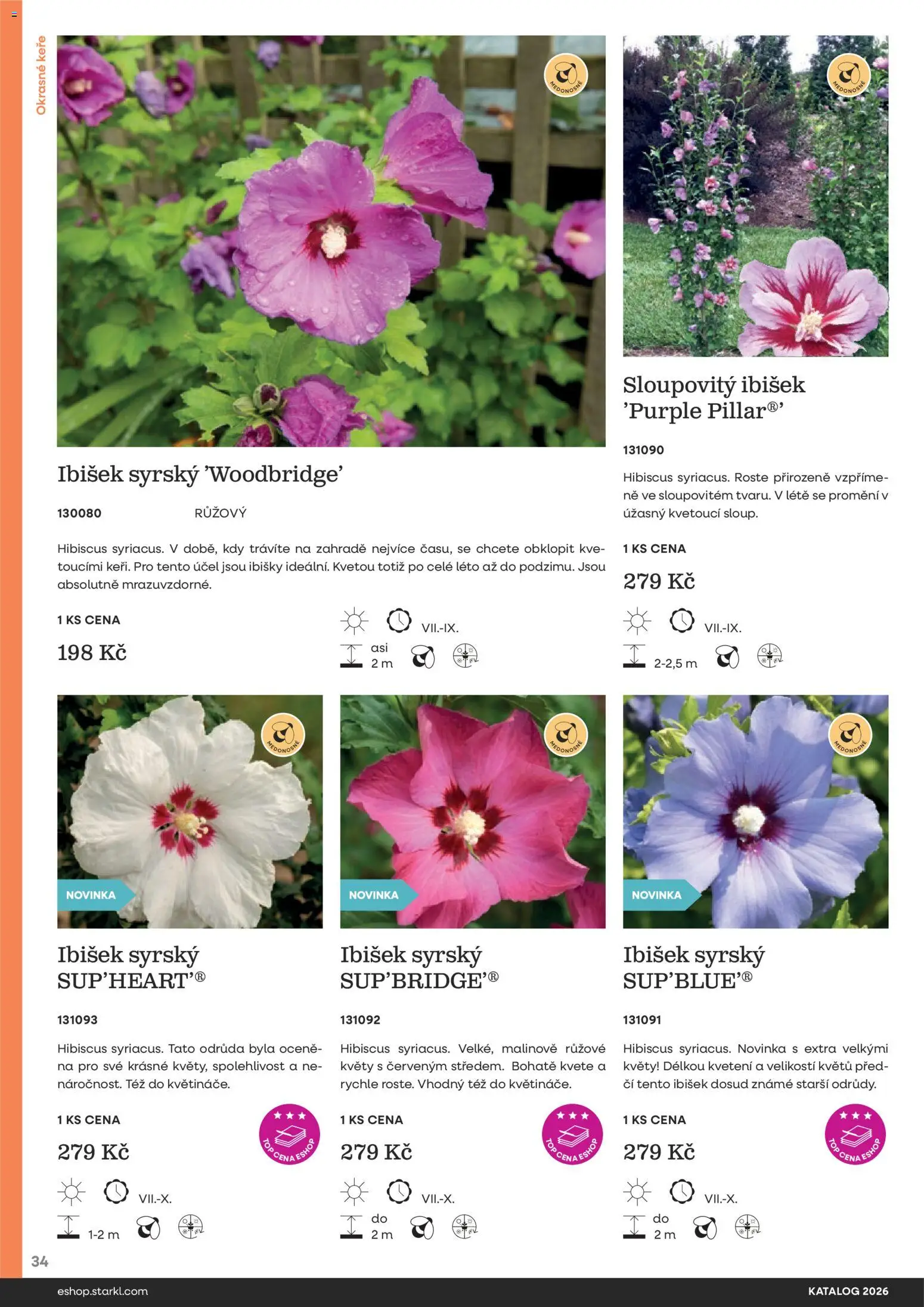 Starkl katalog od 25.02.2026 | Strana: 34