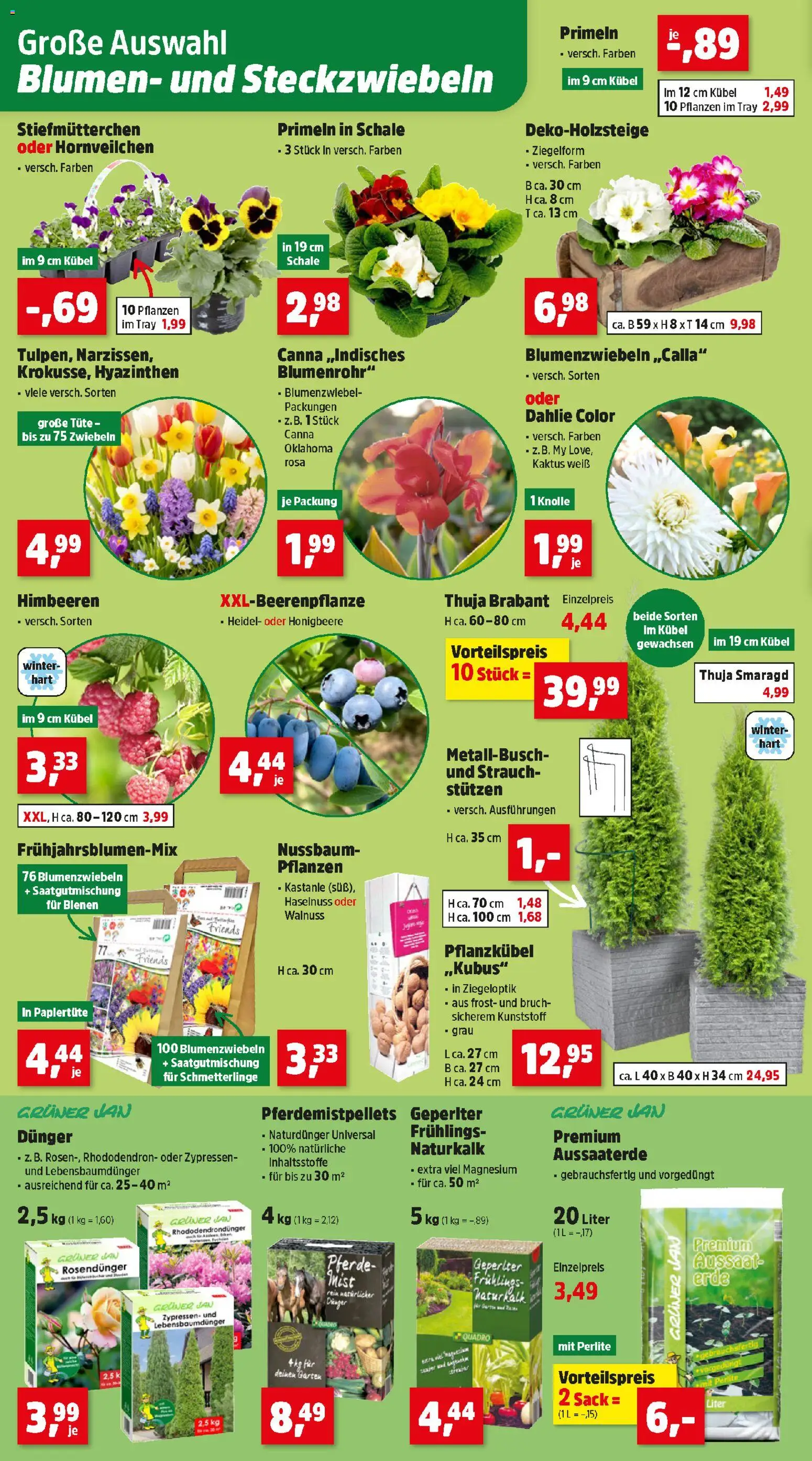 Thomas Philipps Flugblatt gültig ab 23.02.2026 | Seite: 4 | Produkte: Zwiebeln