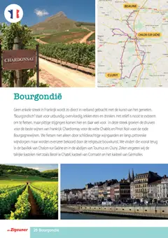 De Zigeuner folder - Voorbeeld van een folder van De Zigeuner, geldig van 17.11.2025 | Pagina: 26 | Producten: Druiven