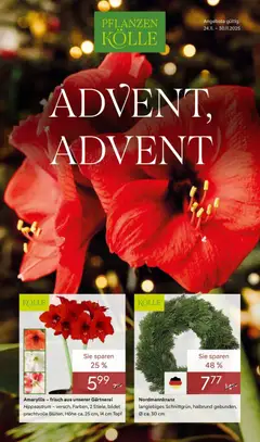 Pflanzen-Kölle - Pflanzen-Kölle: Advent, Advent ab 23.11.2025 gültig