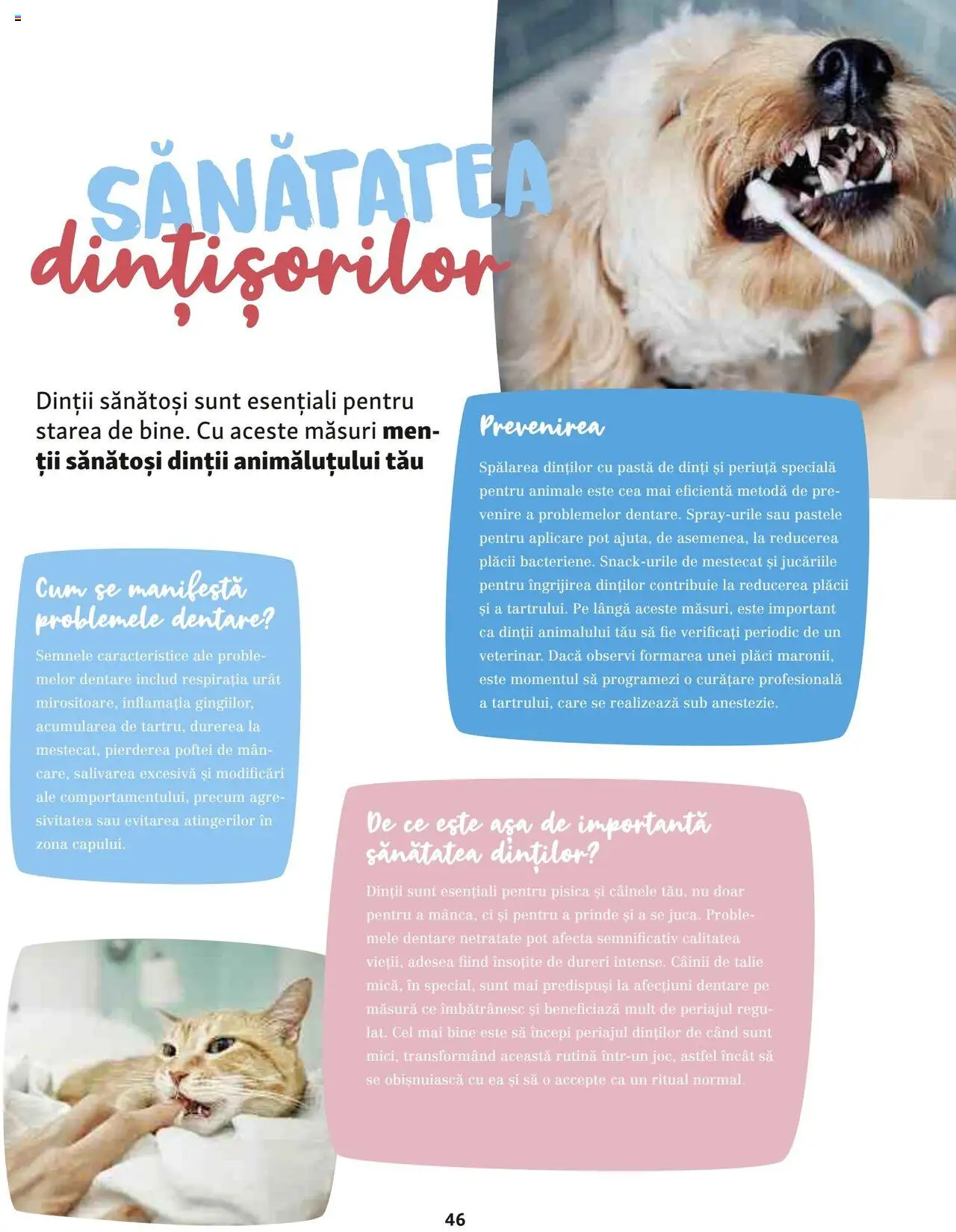 Catalog Fressnapf - Vară – valabil de la 05.05.2025 | Pagină: 46 | Produse: Pastă de dinți