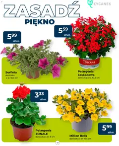 Pogląd oferty "Mrówka gazetka" - ważna od 23.04.2026 | Strona: 13 | Produkty: Doniczka