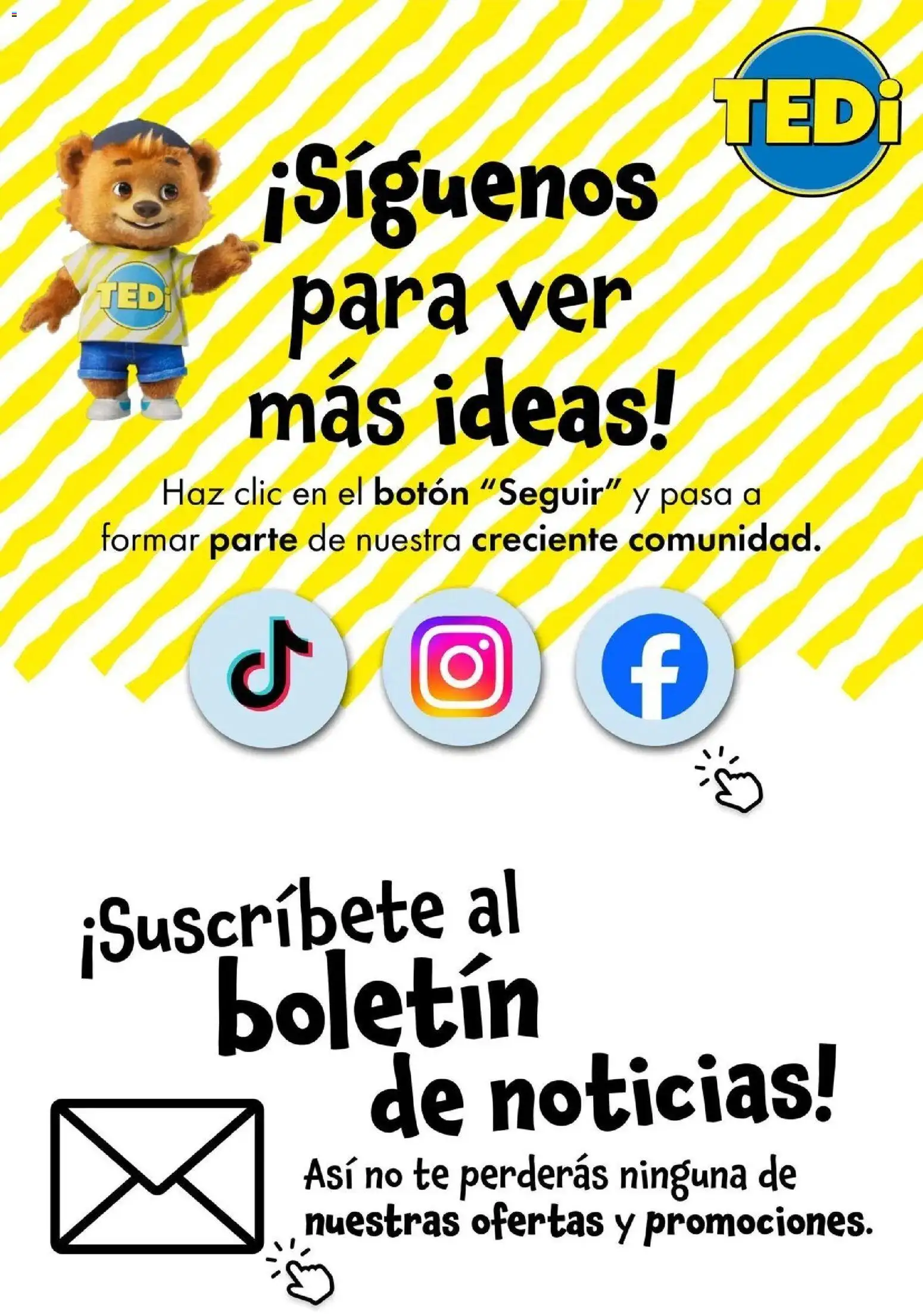 TEDi - Empaquetado con amor │ válido desde el 06.03.2026 | Página: 17 | Productos: Té