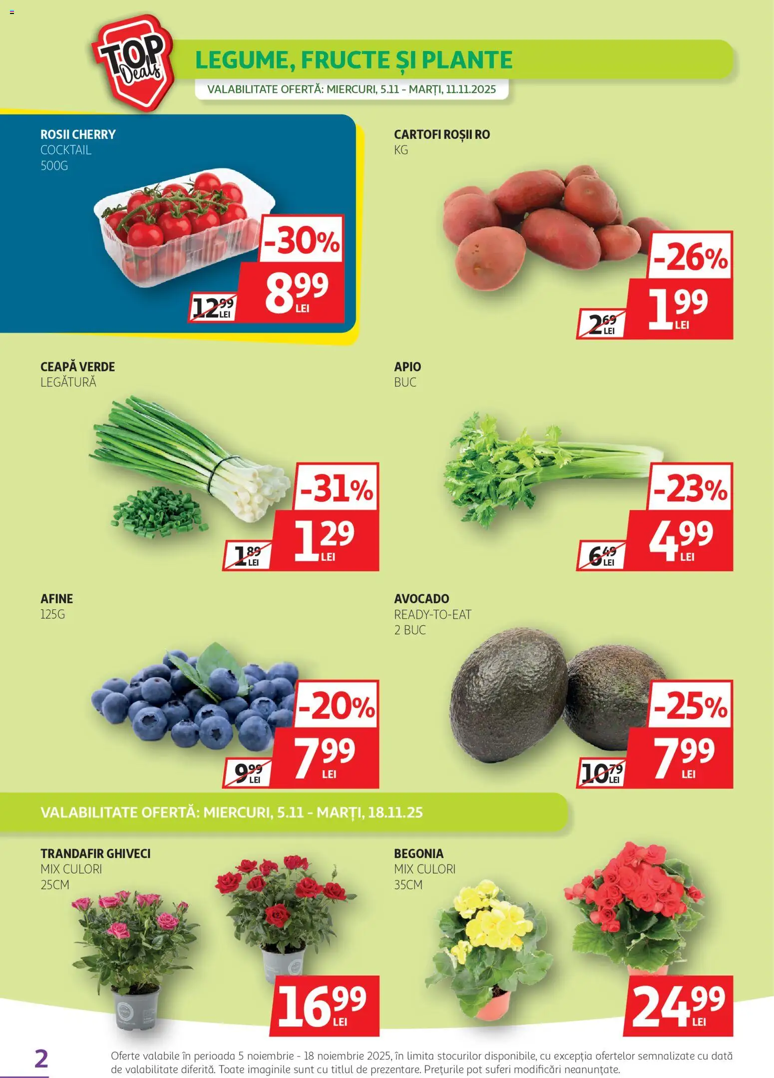Noul catalog Auchan – valabil de la 05.11.2025 | Pagină: 2 | Produse: Trandafir, Ghiveci, Roșii, Ceapă