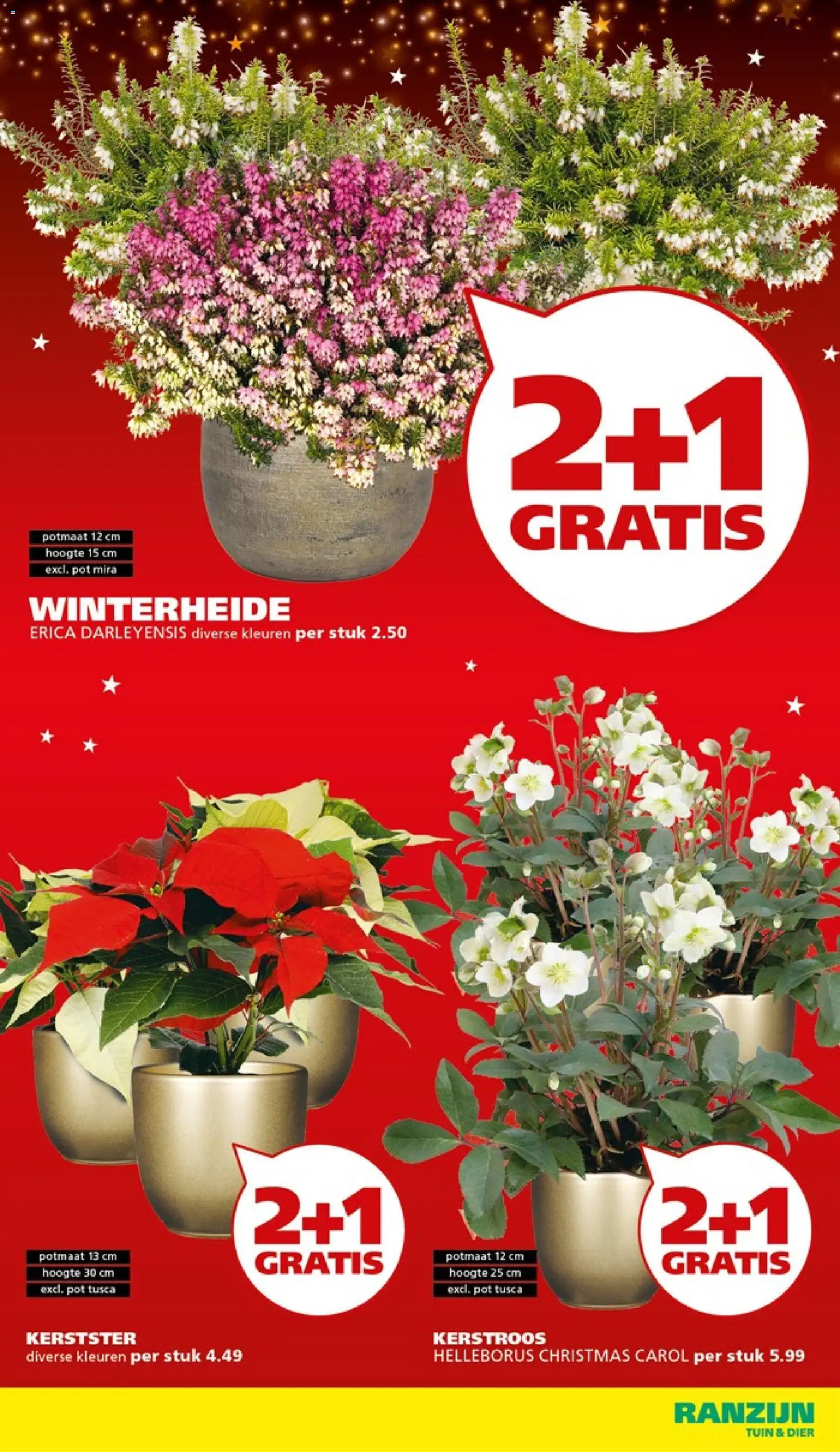 {H1} | Pagina: 4 | Producten: Pot