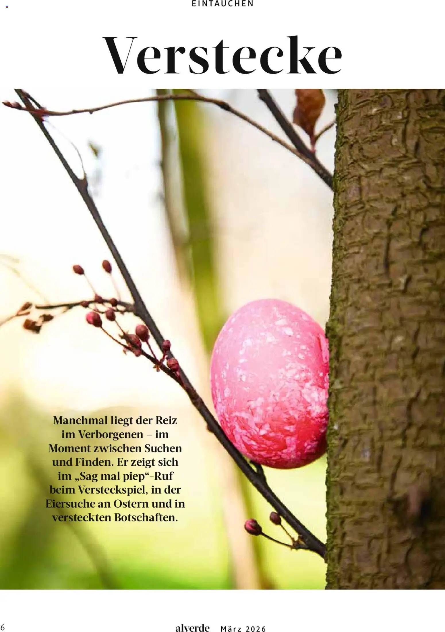 dm drogerie Prospekt 	 – gültig ab 01.03.2026 | Seite: 6