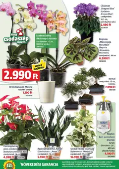 Bauhaus Szórólap - amely érvényes a következő dátumtól: 02.10.2025 | Oldal: 38