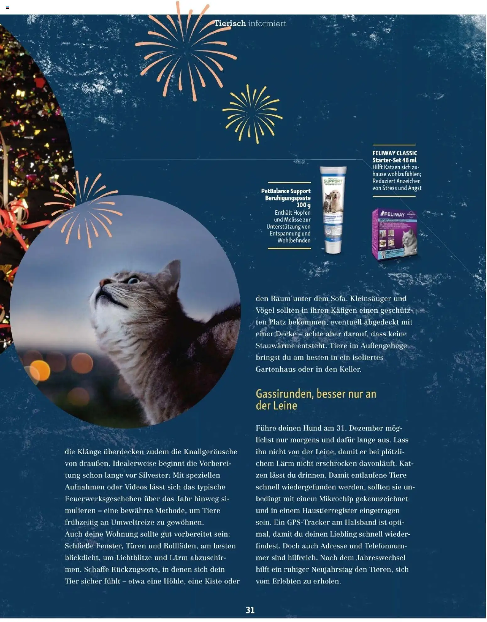 Fressnapf Friends 06/25 gültig ab 01.11.2025 | Seite: 31 | Produkte: Decke