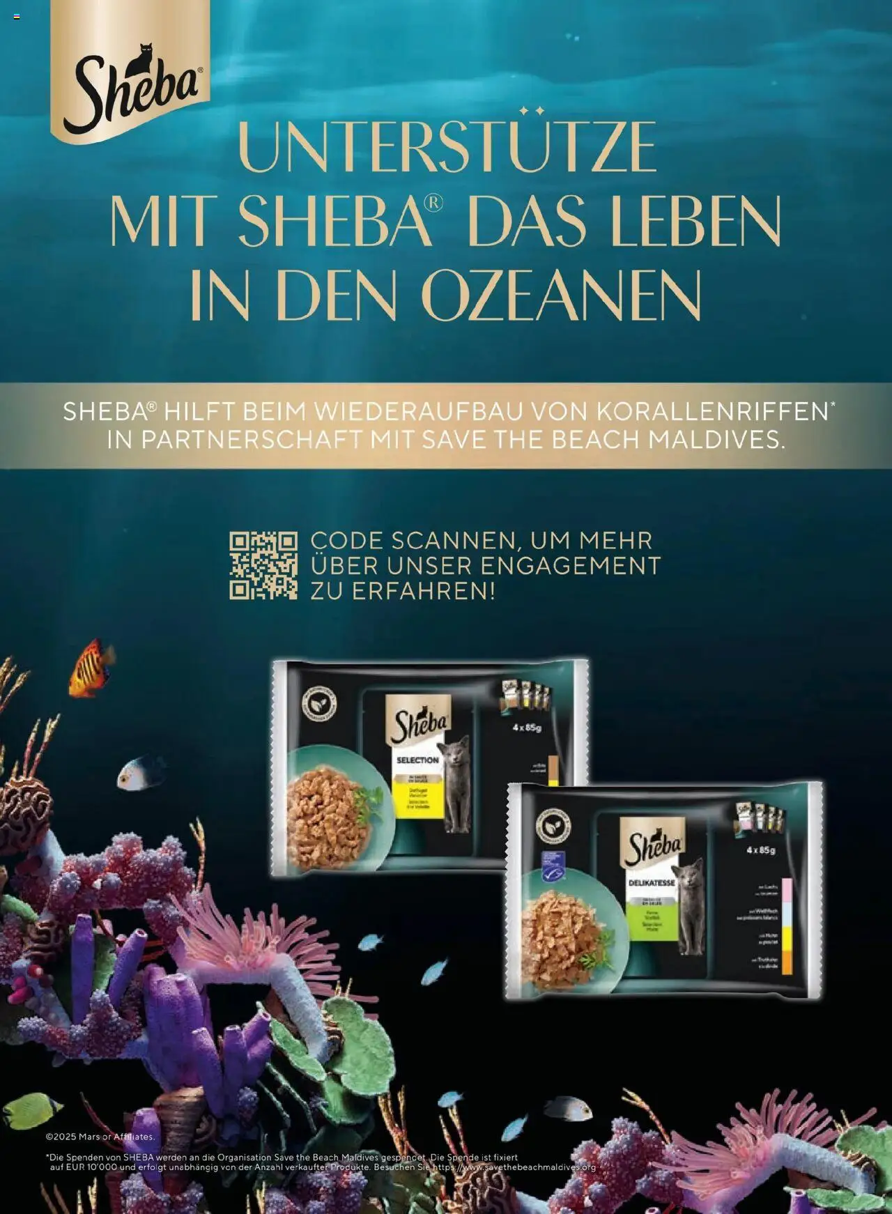 Penny Markt So Schmeckt's - Sommer 2025 gültig ab 01.06.2025 | Seite: 64