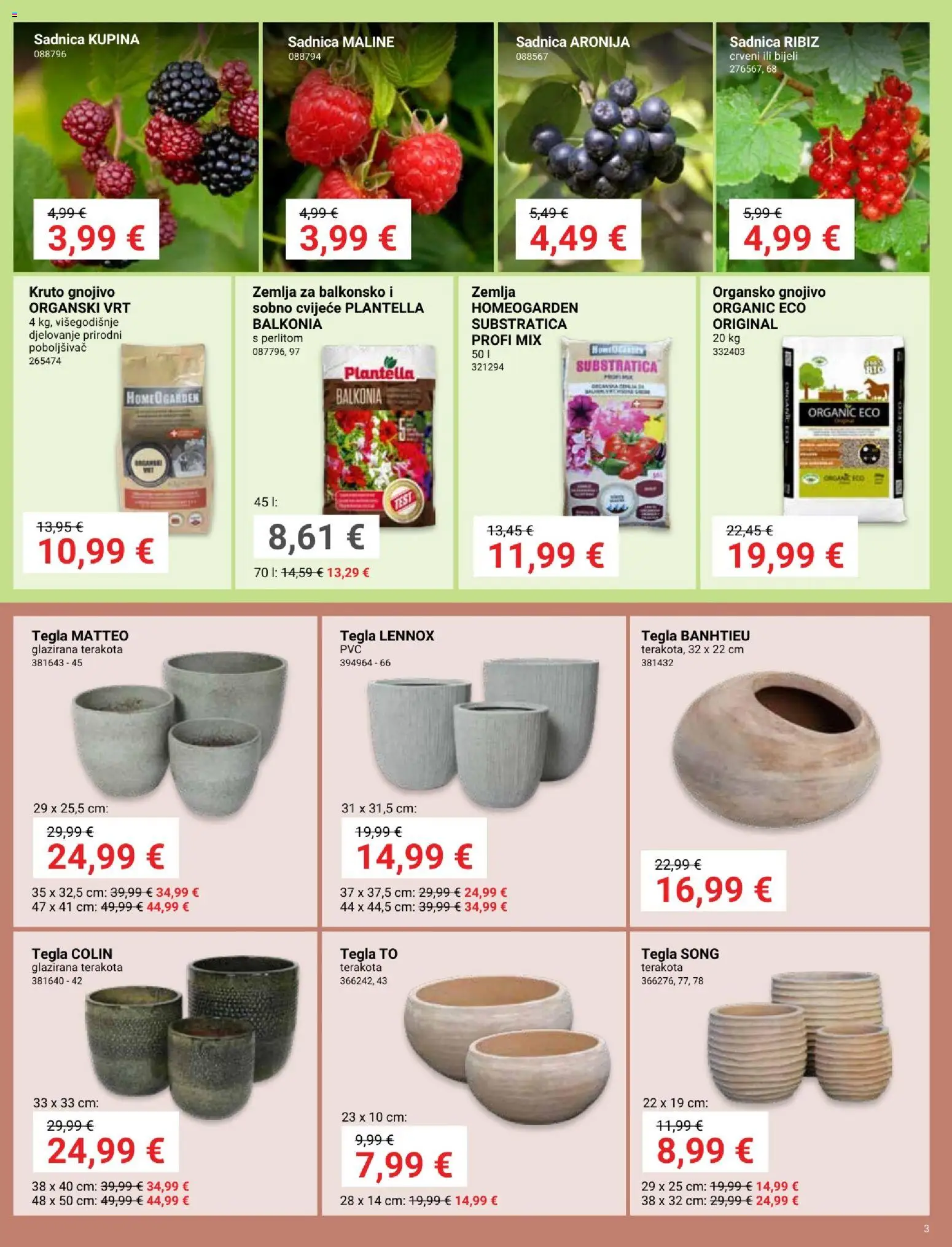 Pevex katalog | vrijedi od 05.03.2026 | Stranica: 3 | Proizvodi: Cvijeće, Maline