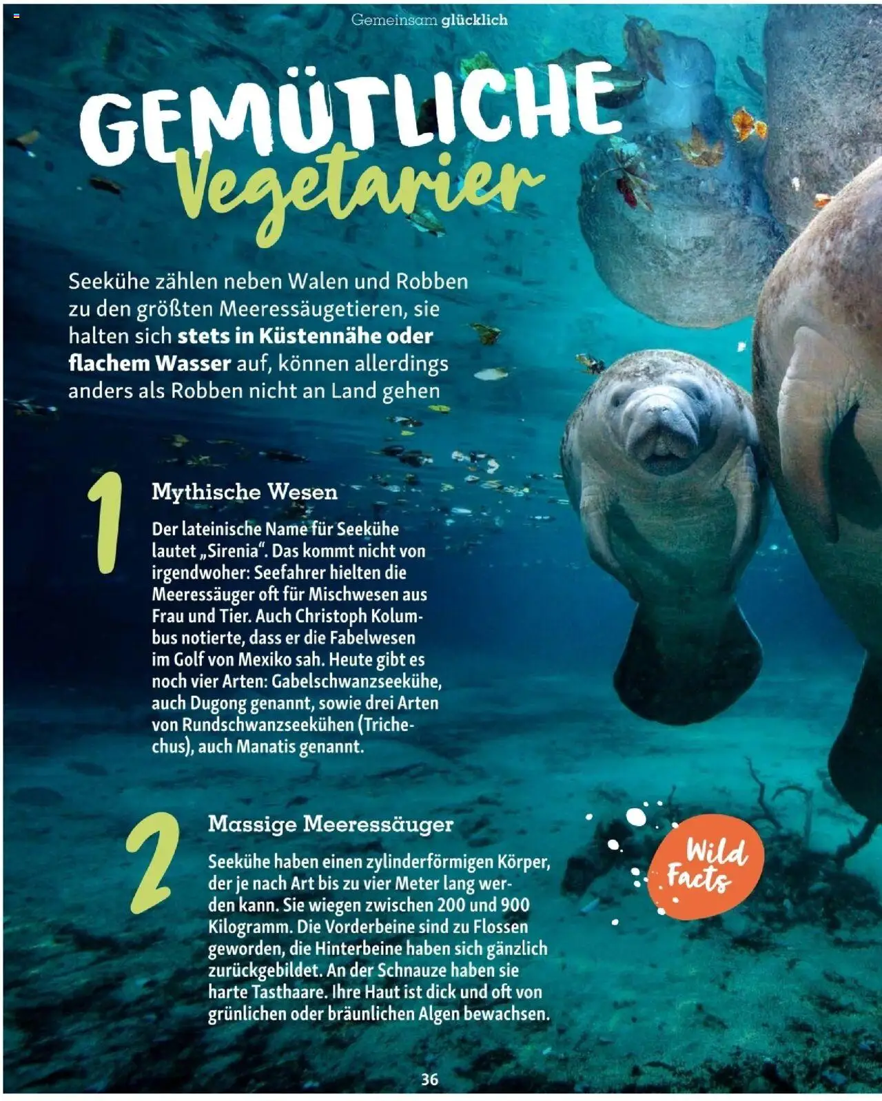 Fressnapf Friends 04/25 gültig ab 01.07.2025 | Seite: 36 | Produkte: Wasser