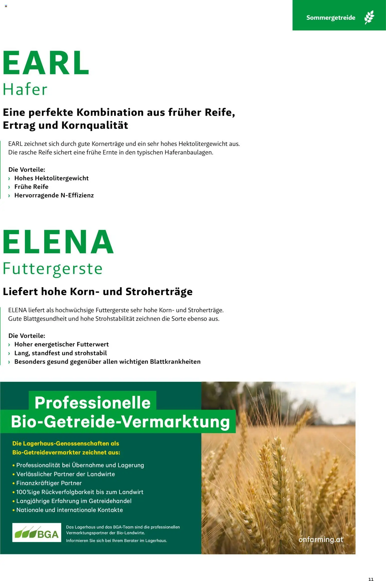 Lagerhaus - Frühjahr 2026 gültig ab 01.03.2026 | Seite: 11