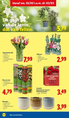 Lidl Folder week 9 - Voorbeeld van een folder van Lidl, geldig van 25.02.2026 | Pagina: 20