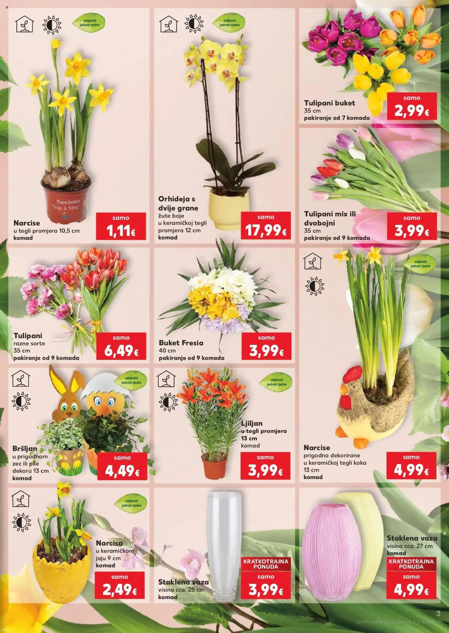 Kaufland katalog | vrijedi od 29.03.2026 | Stranica: 3 | Proizvodi: Orhideja, Vaza