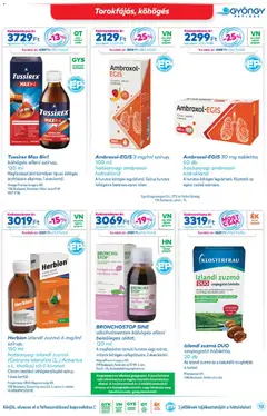 Gyöngy Patikák Akciós újság - amely érvényes a következő dátumtól: 01.02.2026 | Oldal: 13 | Termékek: Kakukkfű, Vegán, Citrom