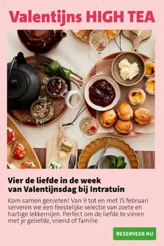 Intratuin - Folder - Voorbeeld van een folder van Intratuin, geldig van 02.02.2026 | Pagina: 9 | Producten: Kom