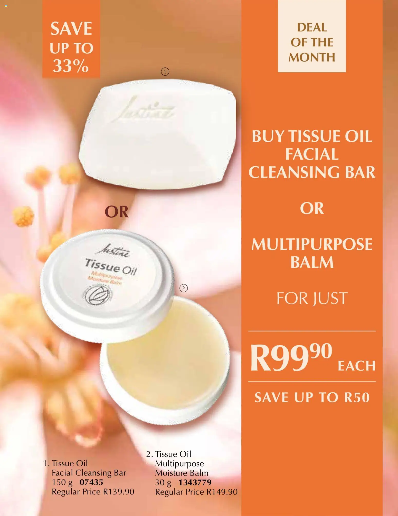 New Justine catalogue – valid from 01.01.2026 | Page: 13