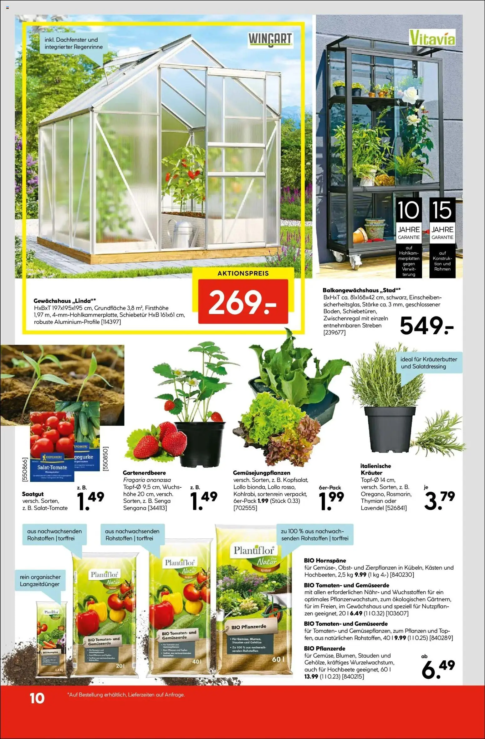 HELLWEG Graz gültig ab 26.02.2026 | Seite: 14 | Produkte: Salat, Obst, Tomaten