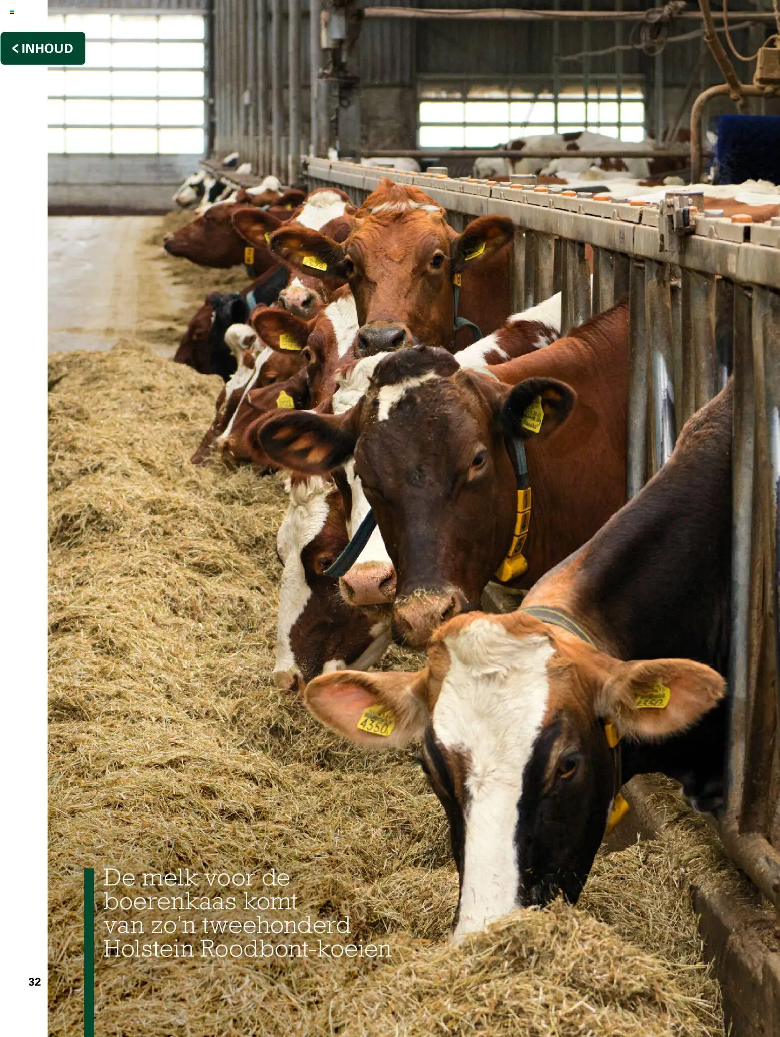 {H1} | Pagina: 32 | Producten: Melk