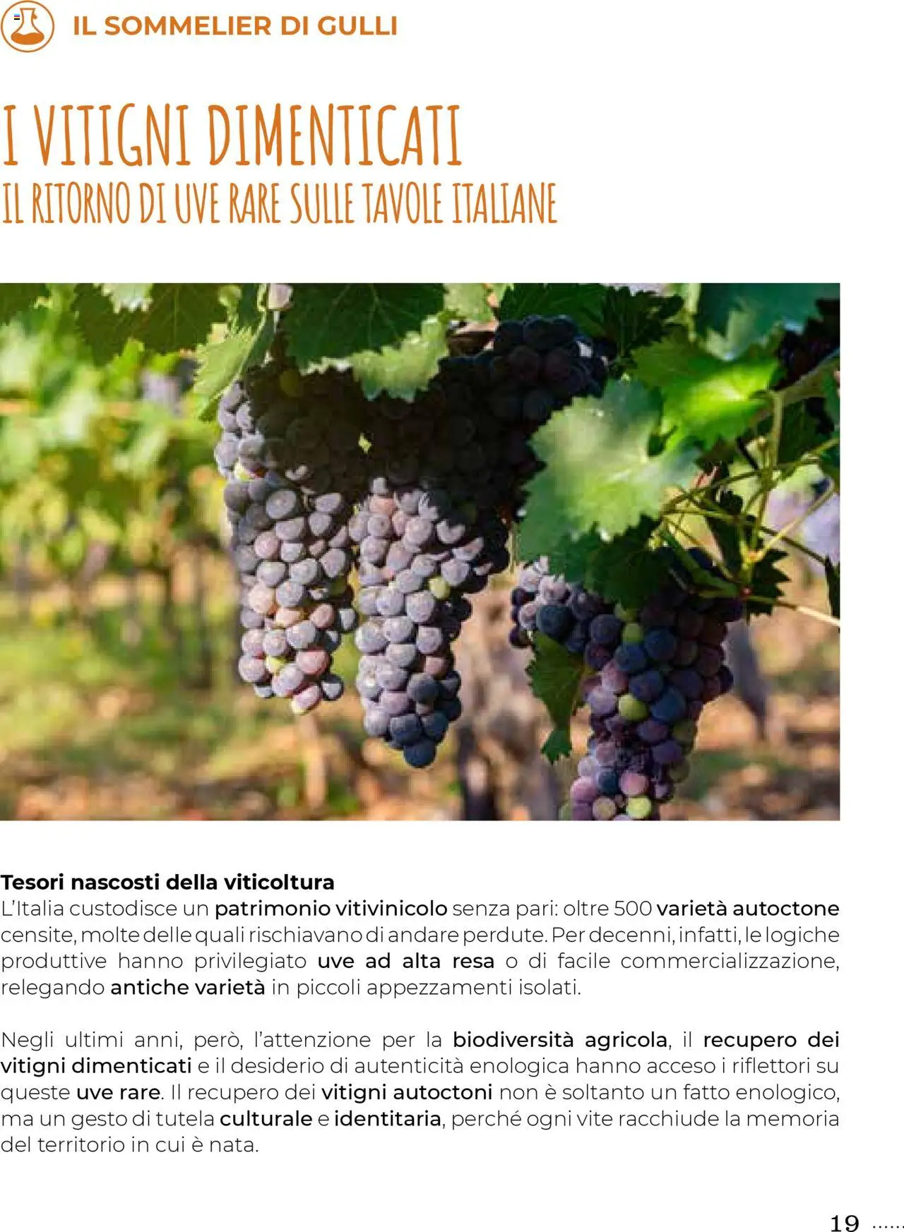 Volantino Gulliver del 01.10.2025 | Pagina: 19