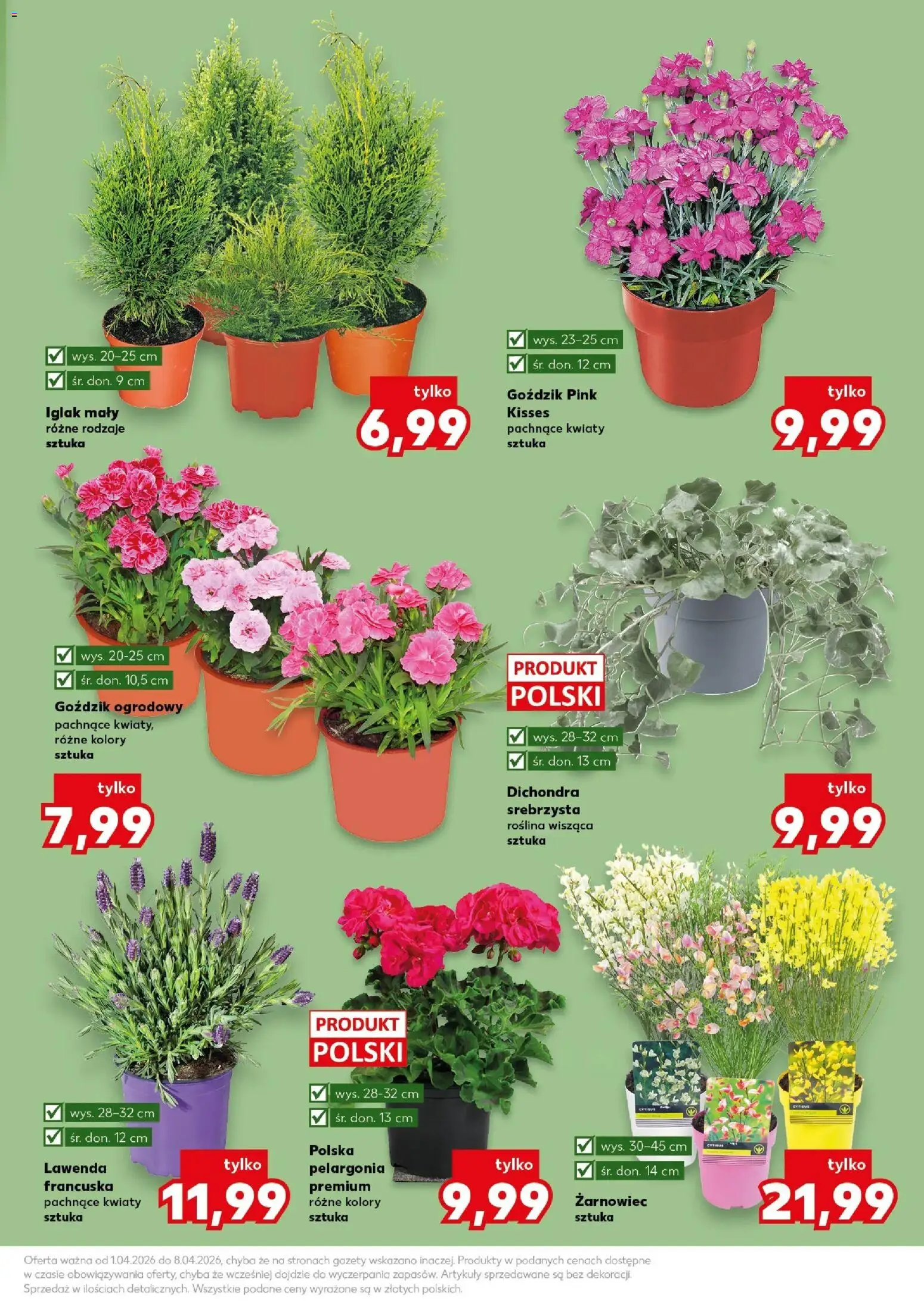 Kaufland gazetka - Ogród od 01.04.2026 | Strona: 11 | Produkty: Goździk, Kwiaty
