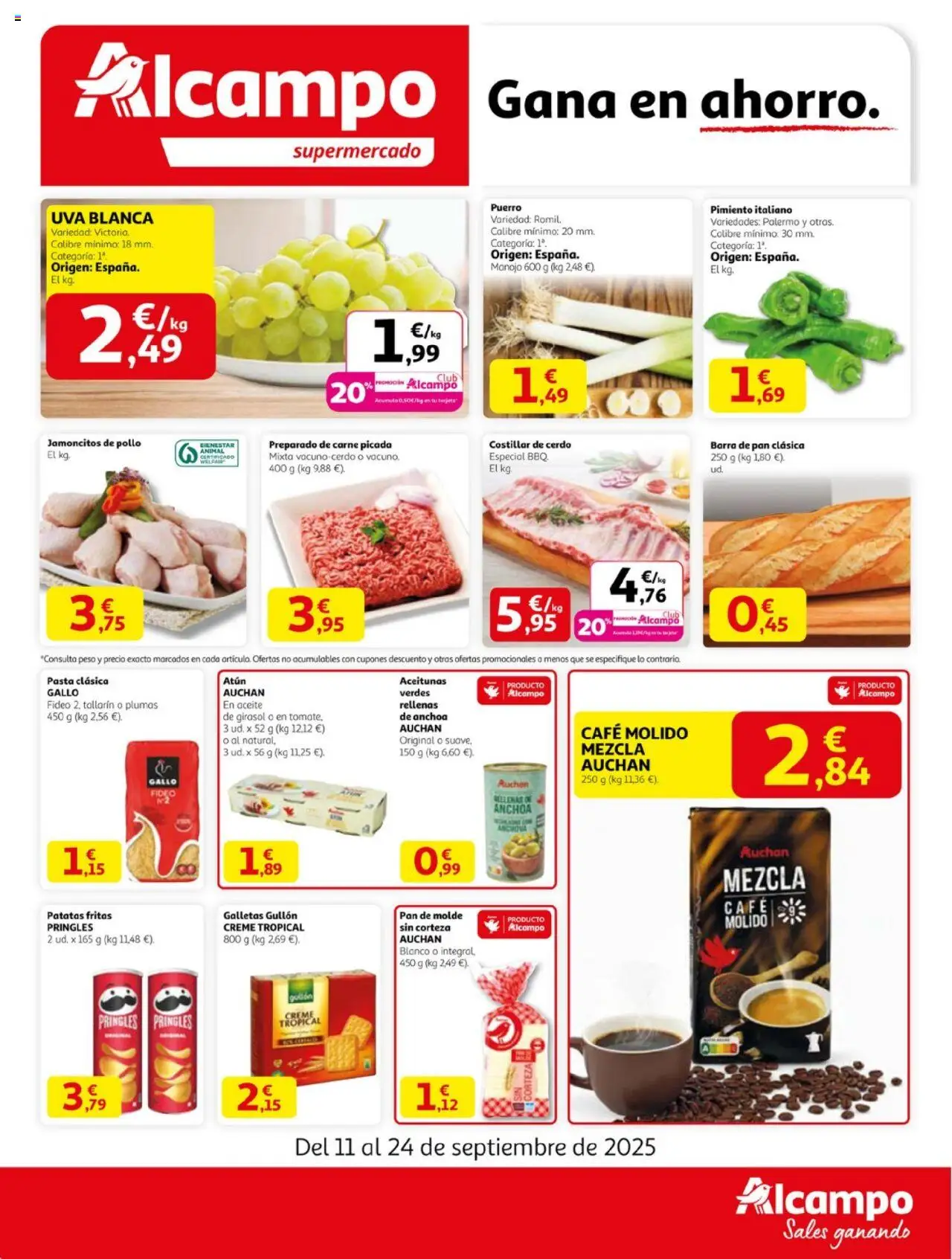 Alcampo - Maxi  │ válido desde el 11.09.2025 | Página: 1 | Productos: Café molido, Κάδος απορρυμάτων, Pan de molde, Anchoa